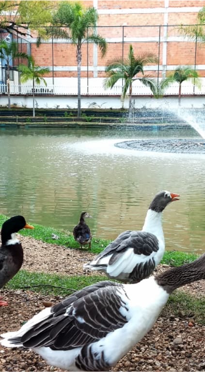 Imagem sobre Lagos e Piscinas Naturais