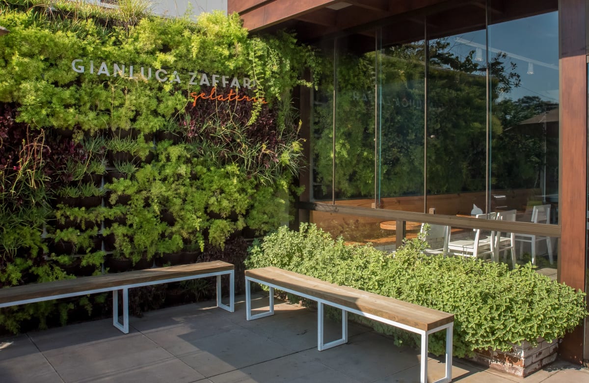 Decoração verde Gianluca Zaffari