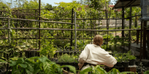 Saiba o que é a horta urbana e conheça as vantagens