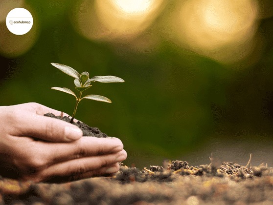 Top 10 eco-friendly businesses making a difference globally