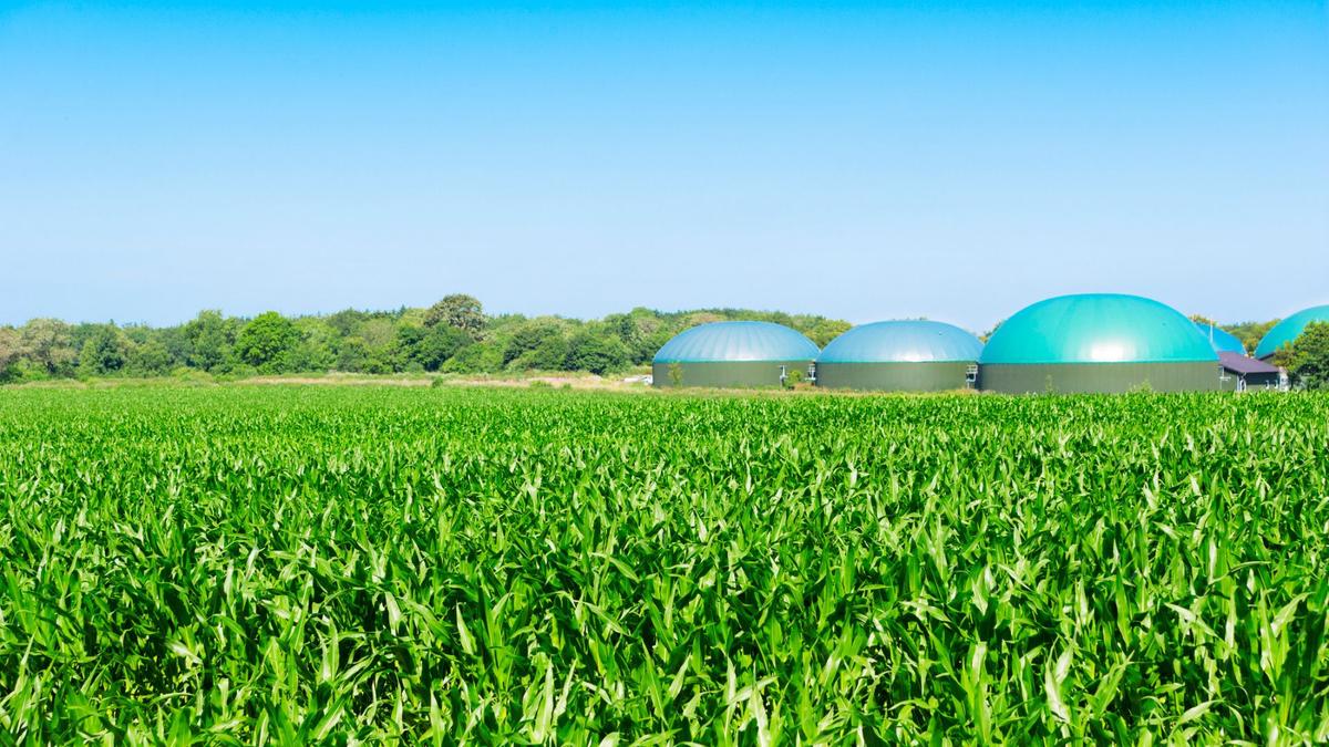 Chinese scientists turn CO2 into nutritious food