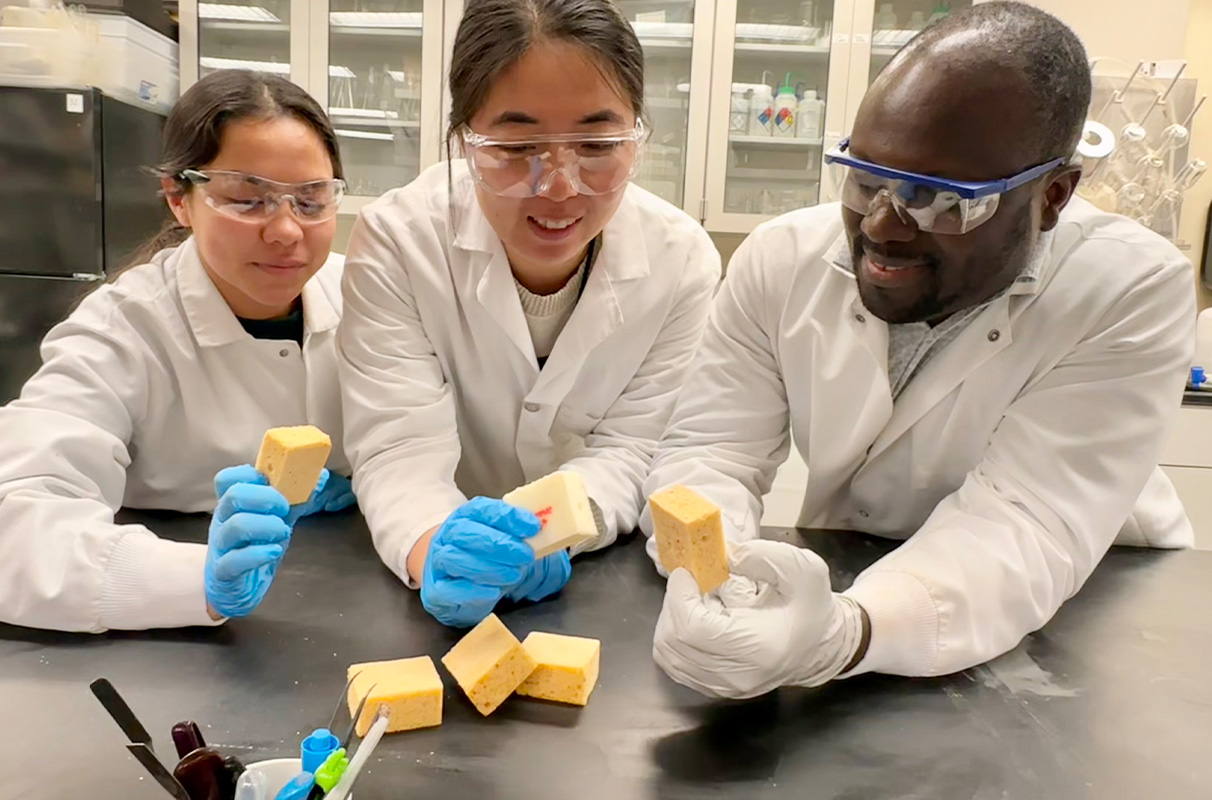 Plant-based substitute for fossil fuels developed