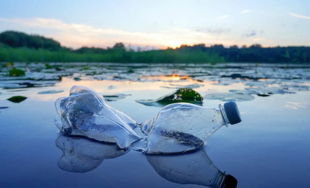 Marine fungi can be trained to degrade plastic
