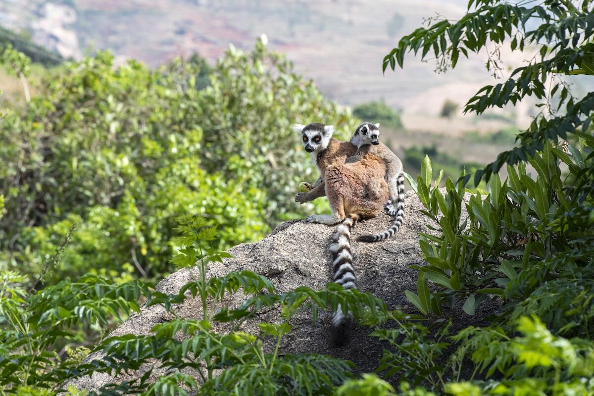Nations agree plan to finance nature protection