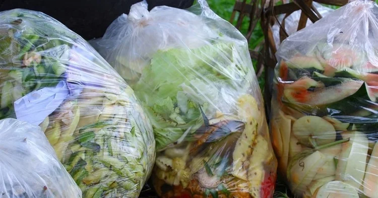 Turning food waste into biodegradable plastic