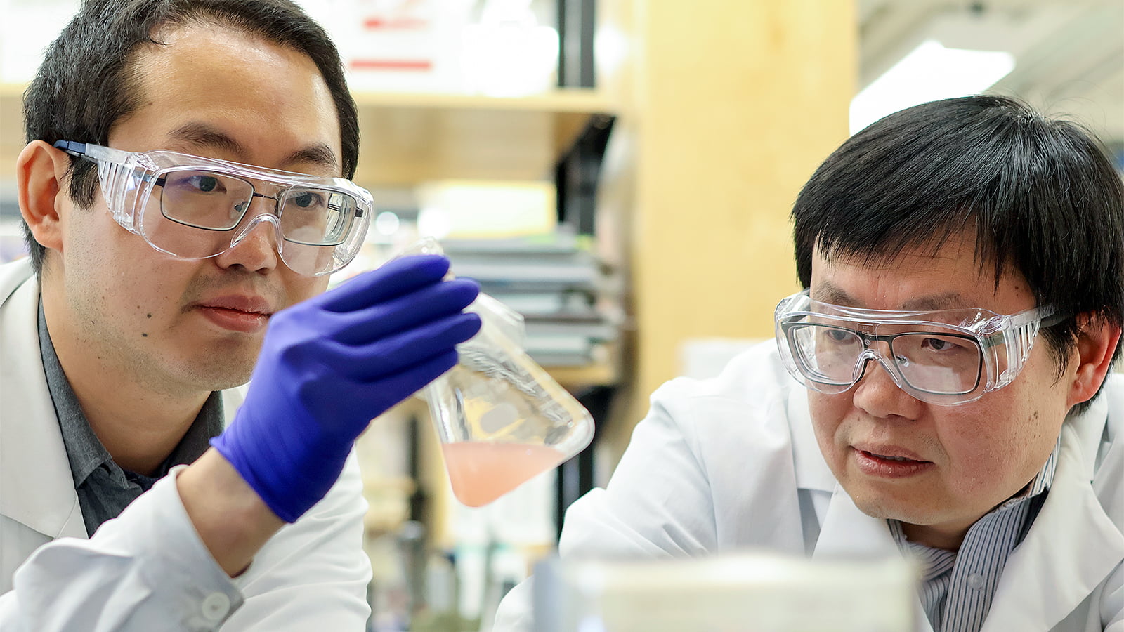 Red yeast converts wood waste into fatty acid