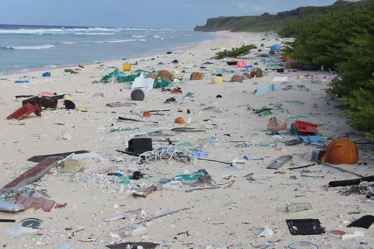 Australia’s plastic pollution drops nearly 40%