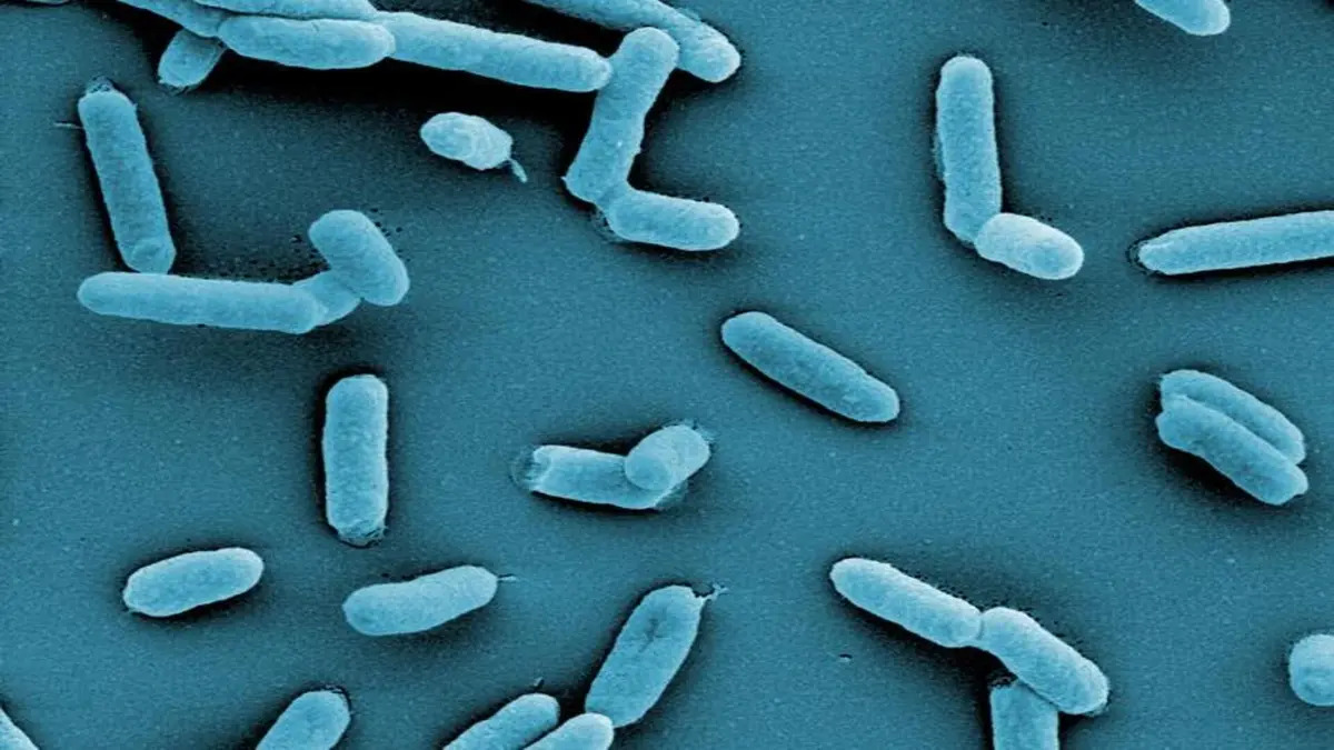 New microbes could purify global water supply