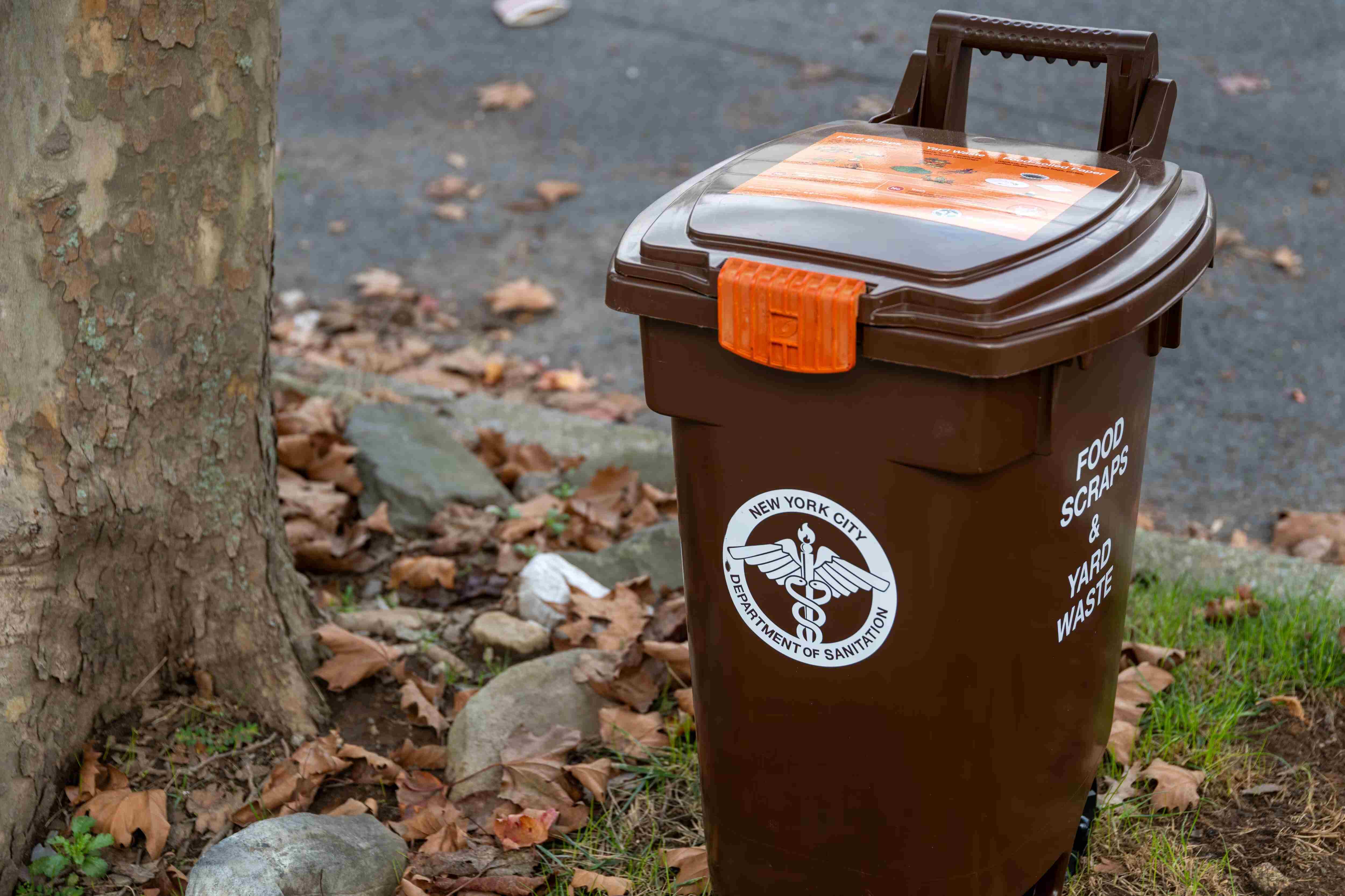 NYC begins mandatory composting enforcement