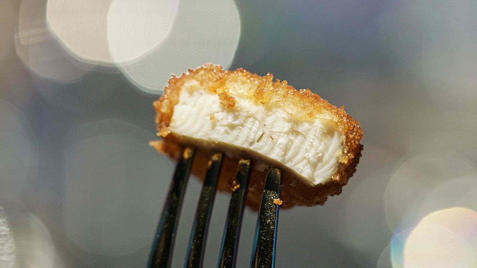 Scientists create largest lab-grown chicken nugget