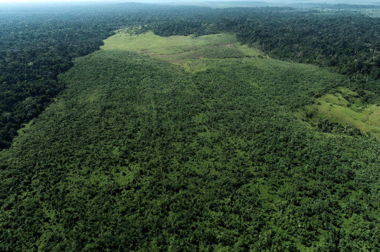 Biomas launches first Brazil reforestation project