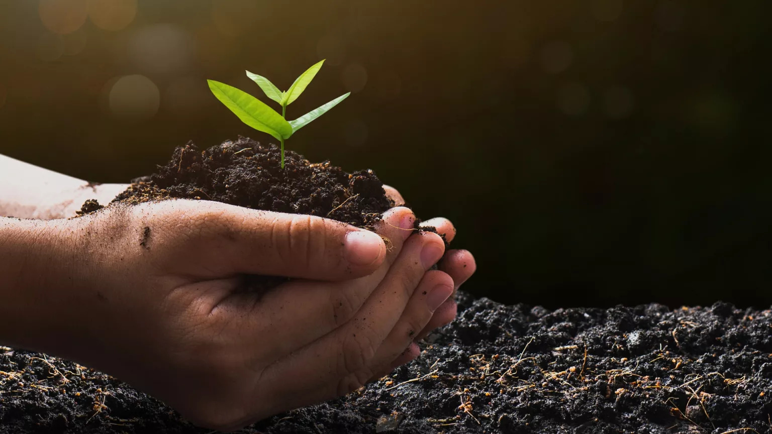 Council of Europe steps up on the environment