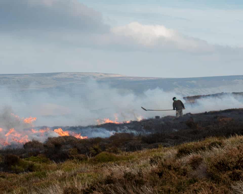 Air quality logging system for moorland fires