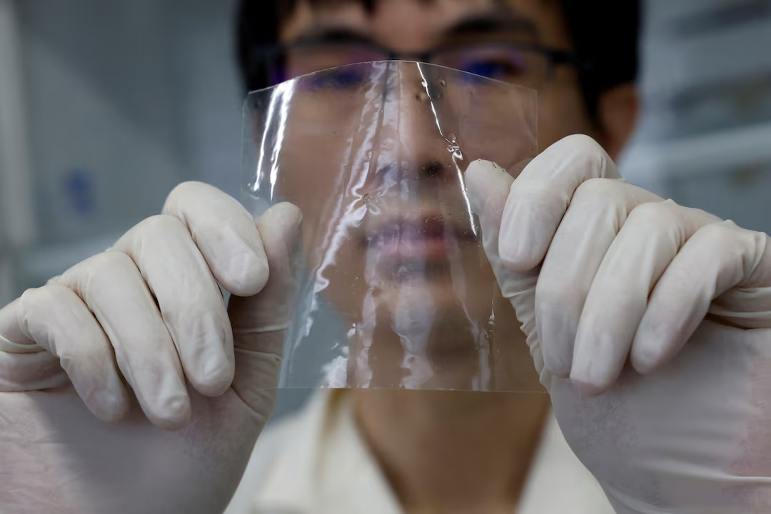 Japan develops plastic that dissolves in seawater