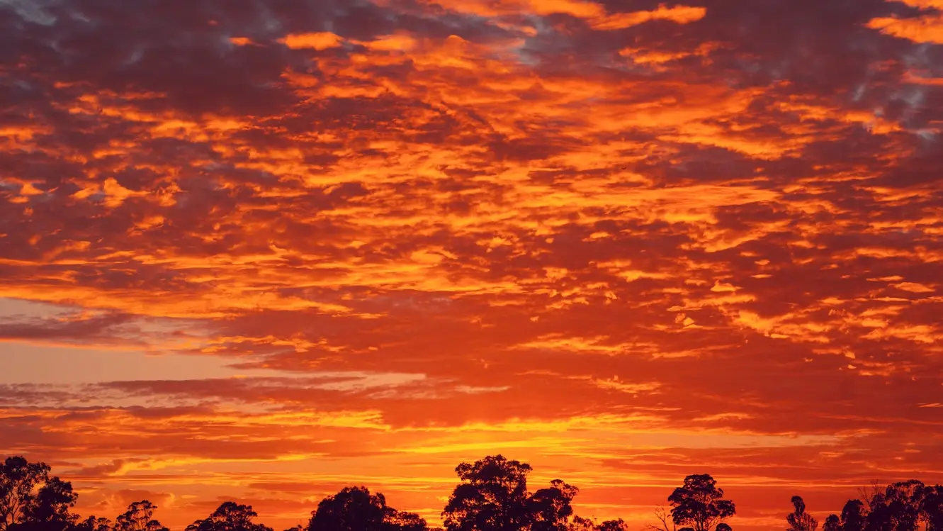How Australian backyard design Is adapting to extreme heat