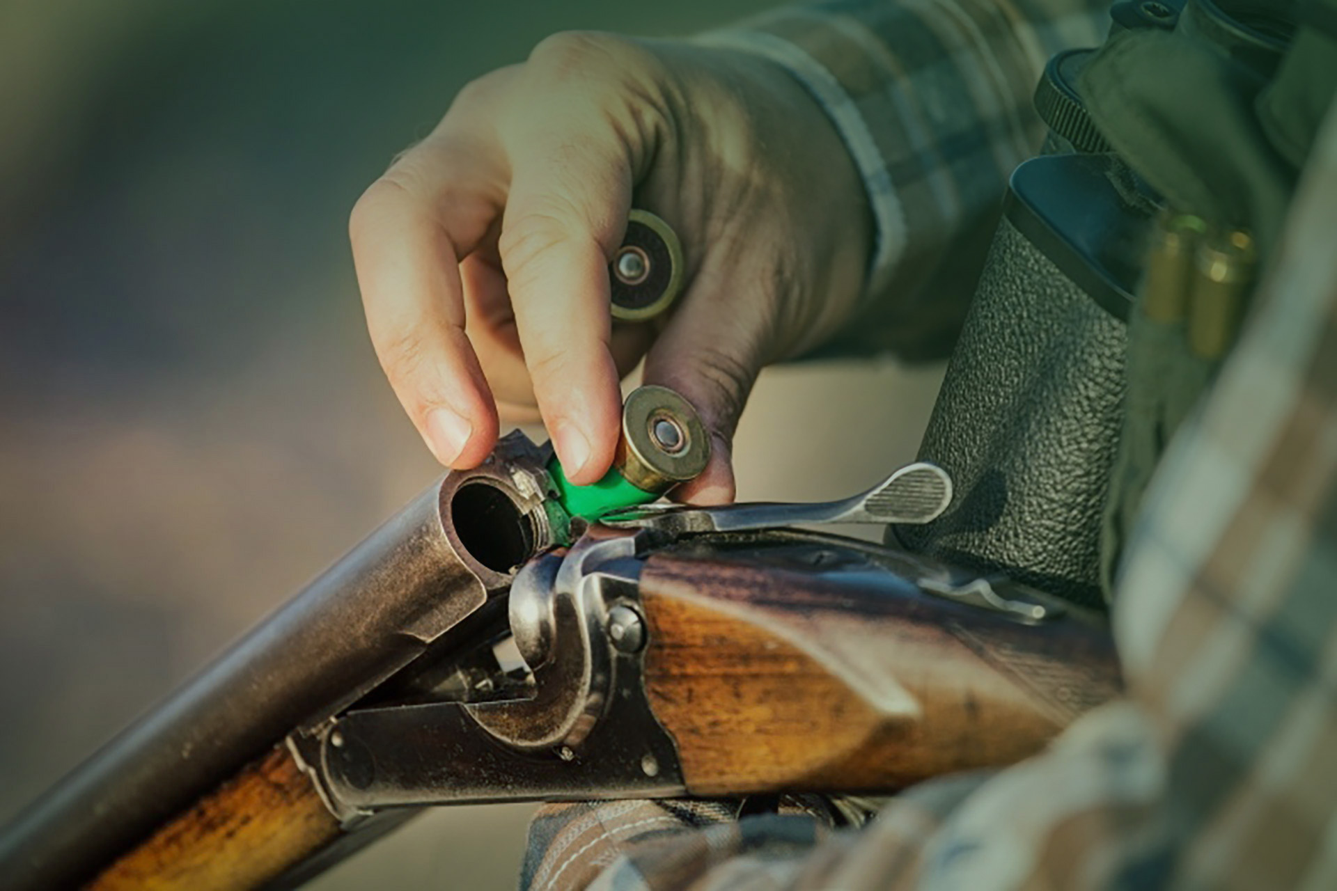New limits on lead ammunition to curb pollution