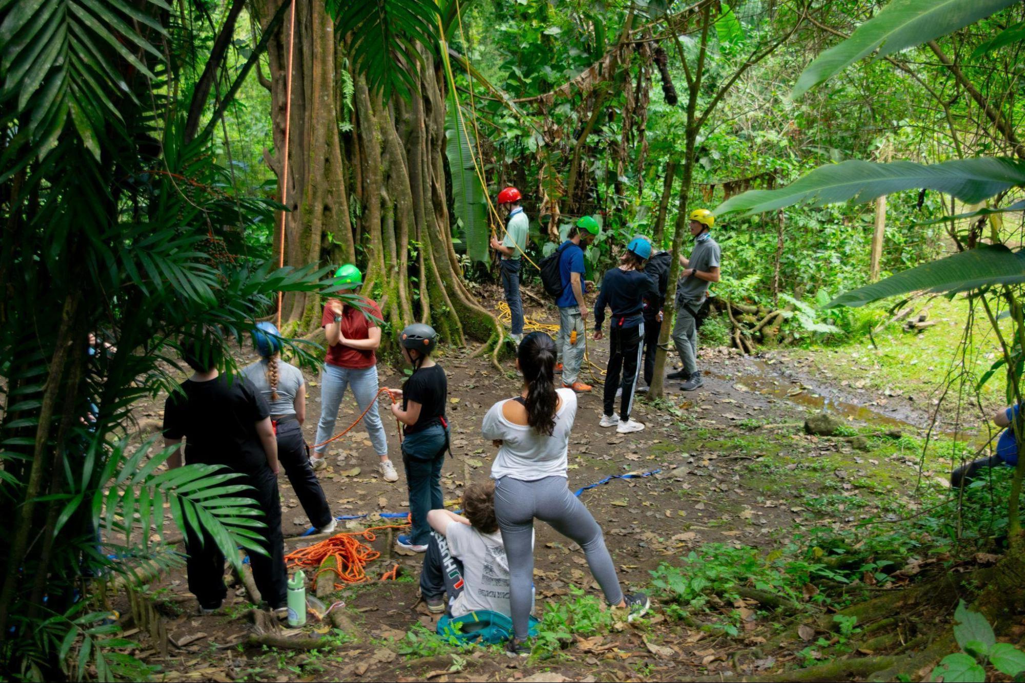 Fieldwork to frontlines: how data drives environmental action