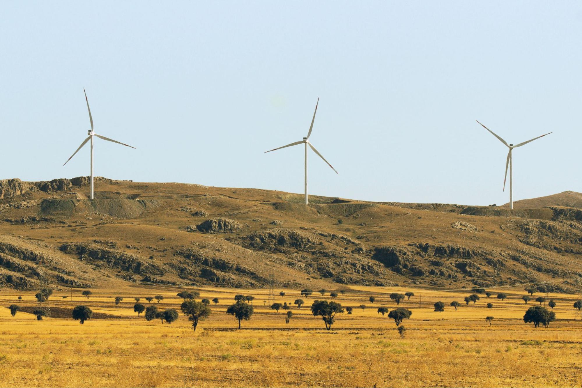 Demystifying ESG reporting standards