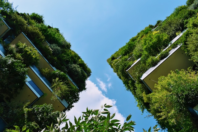 Studying sustainability: which degrees make the biggest impact?