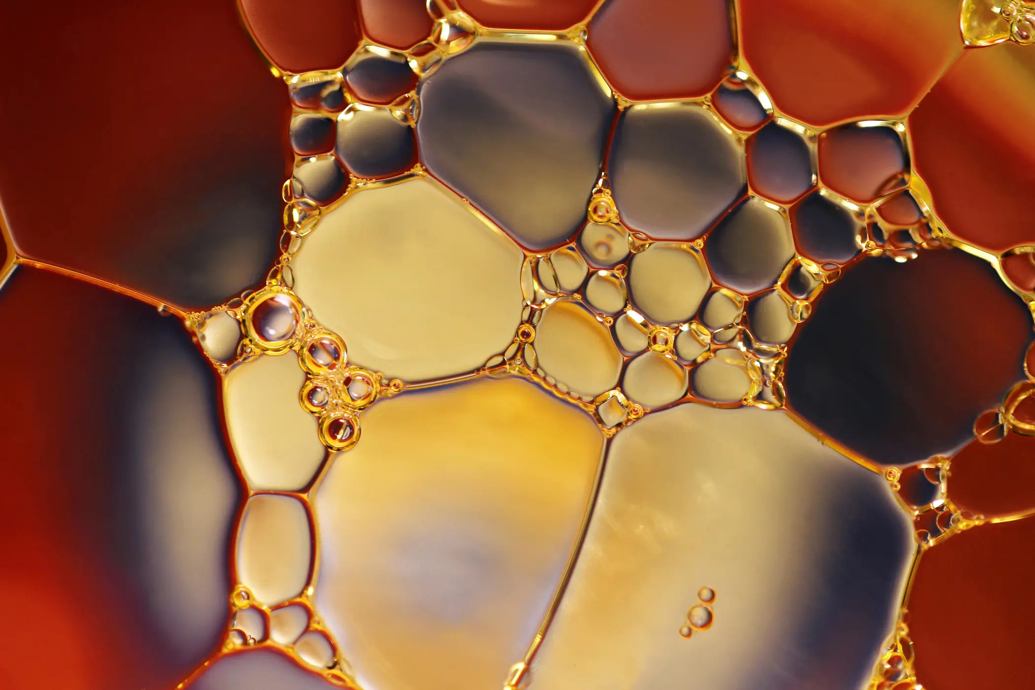 CO2 recycling powers a new palm oil alternative