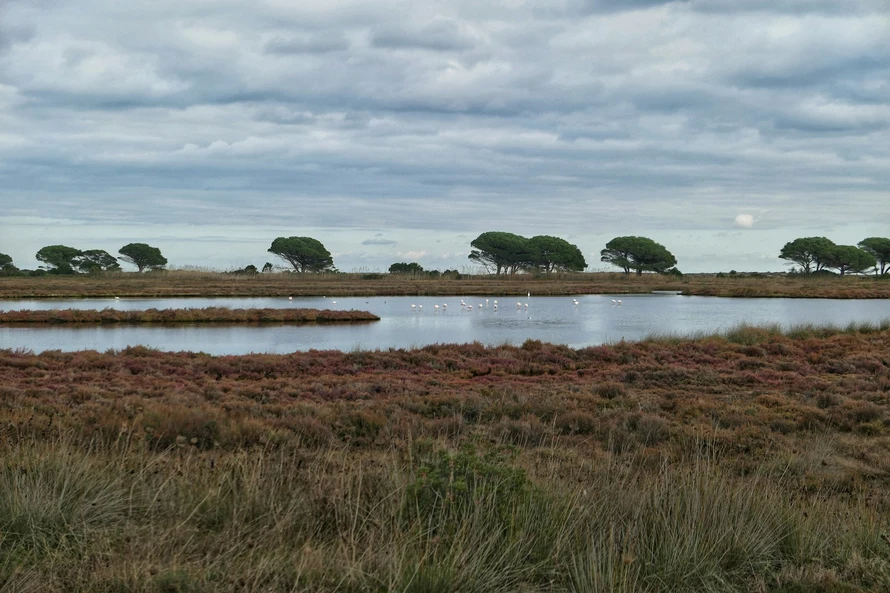 UK expands peatland burning ban to cut carbon