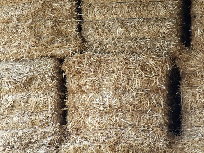 Germany creates mushroom-based insulation boards