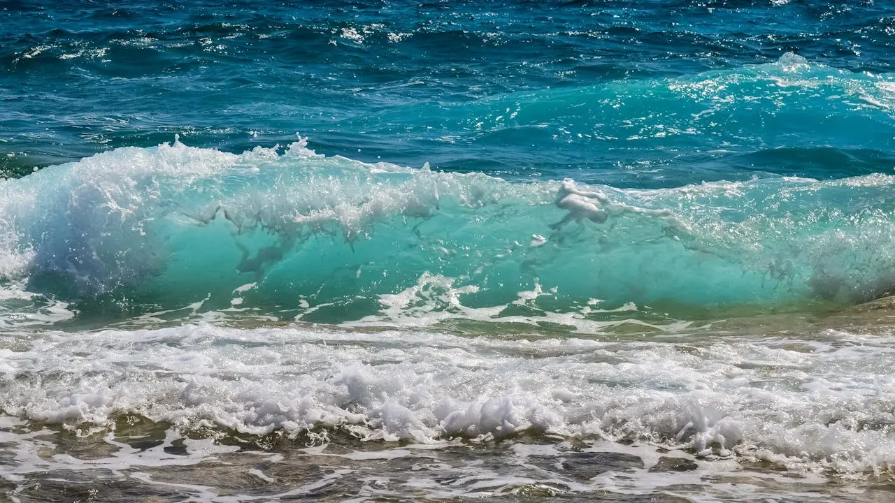Treaty to save oceans becomes law