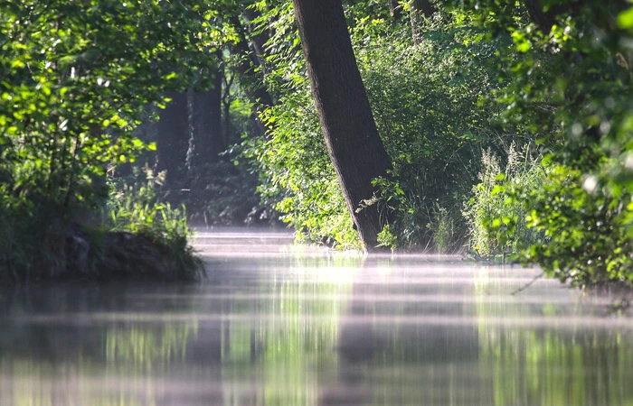 UNESCO declares 26 new biosphere reserves