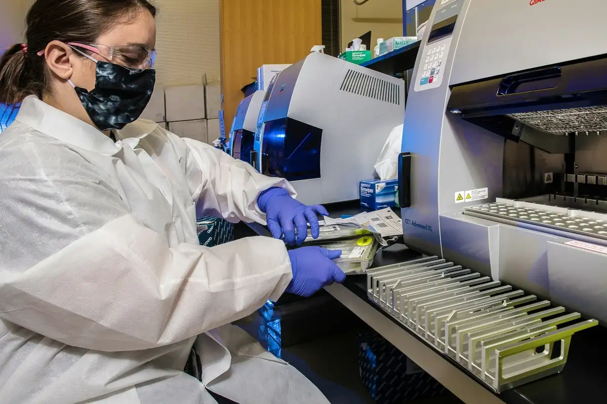 Biomass-based polymer can capture and release CO₂