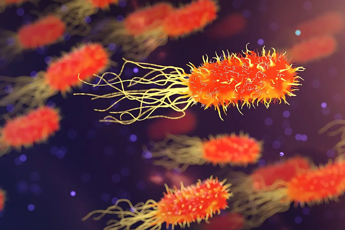 Dissolvable batteries made from gut bacteria