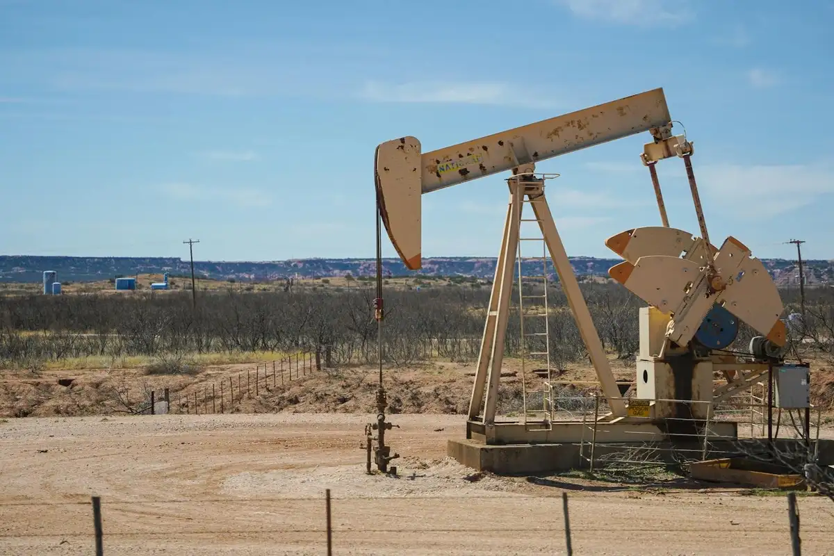 Ecologists join forces to fight 'carbon bomb'