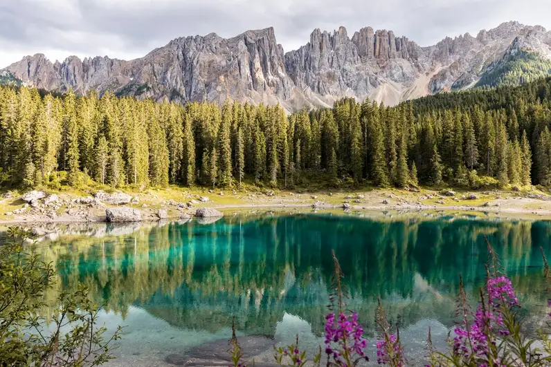 EU Parliament passes nature law