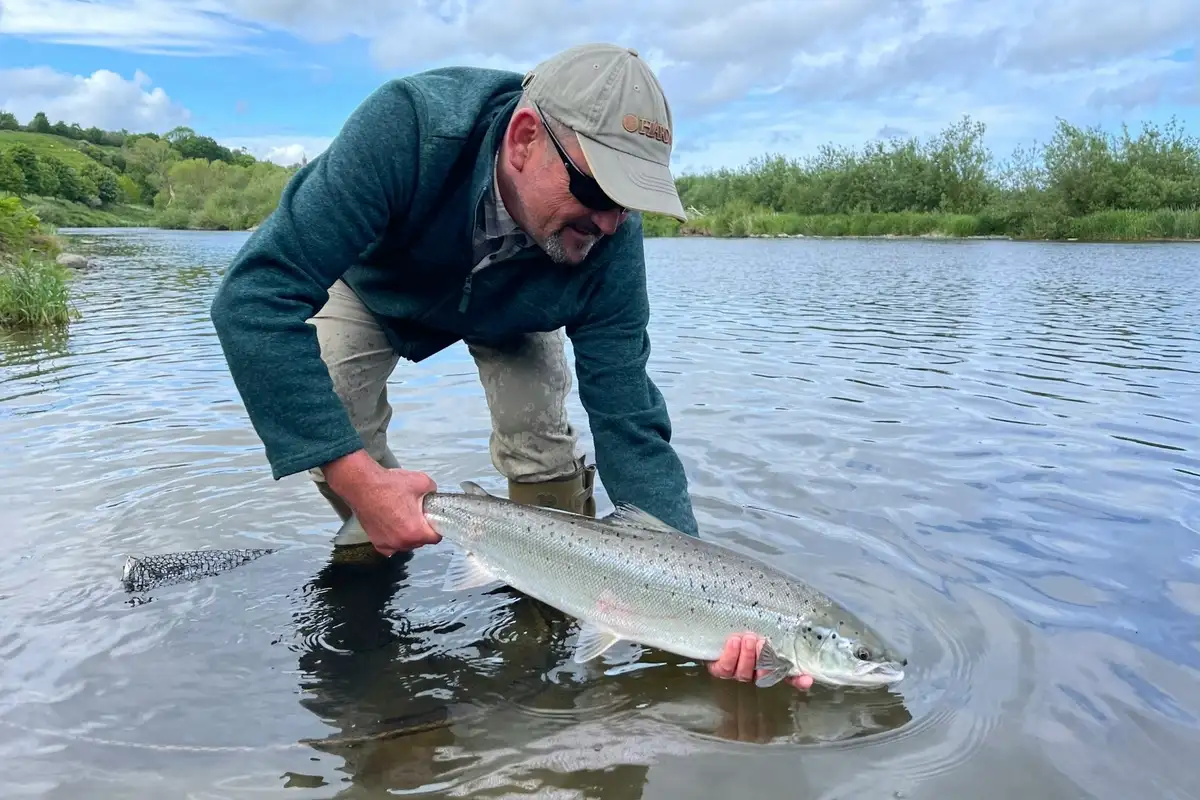 Europe’s first pilot plant for cultivated fish