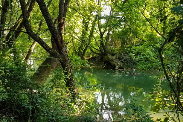 Europe's first wild river National Park