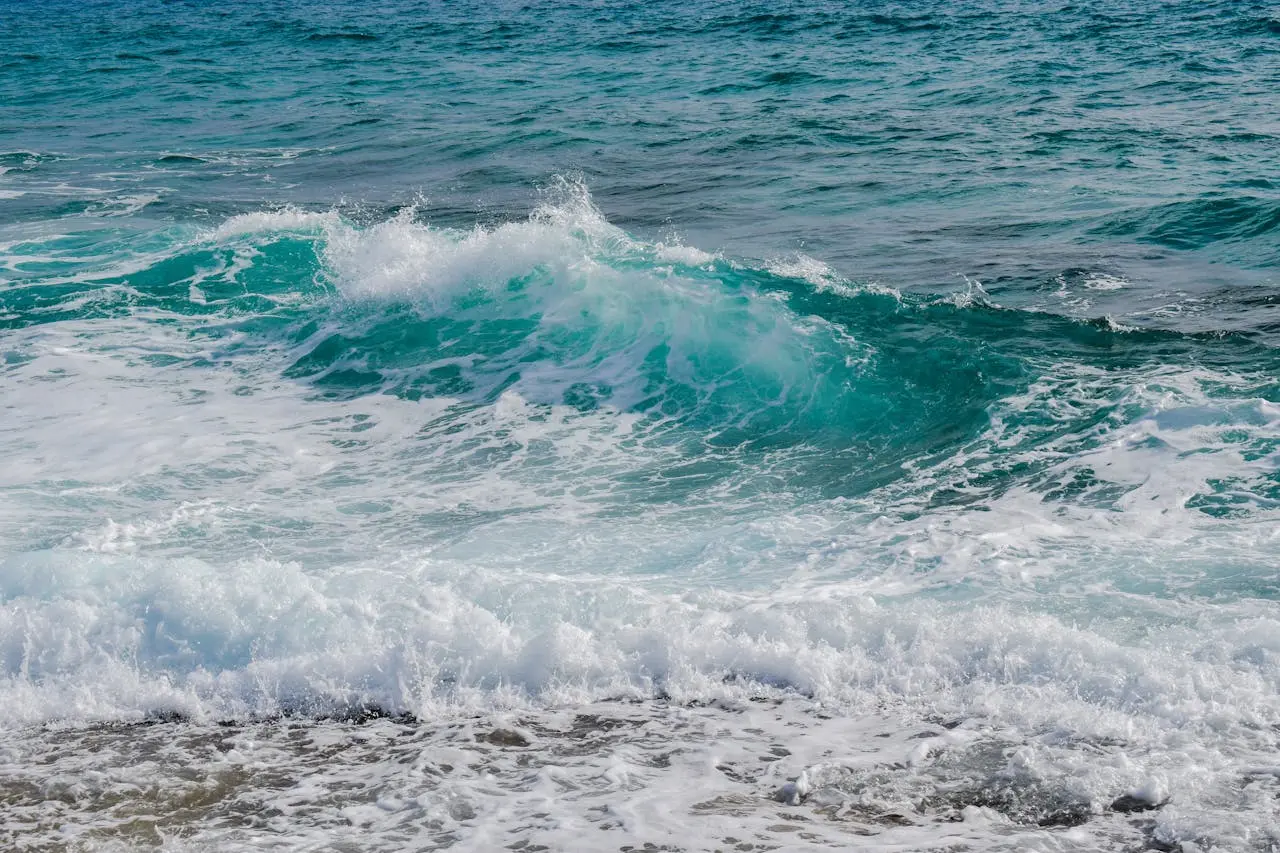 Turning ocean CO₂ into biodegradable plastic