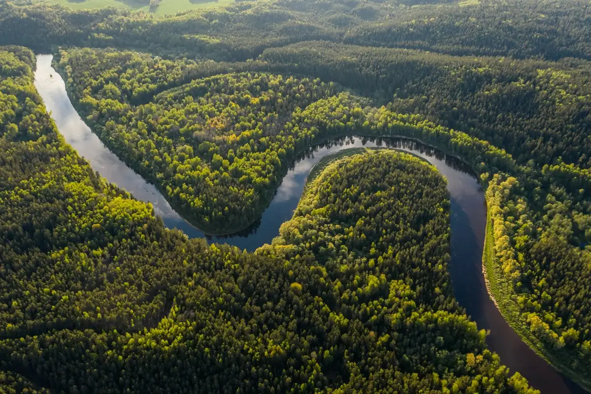 Germany pledges millions to save Amazon fainforest