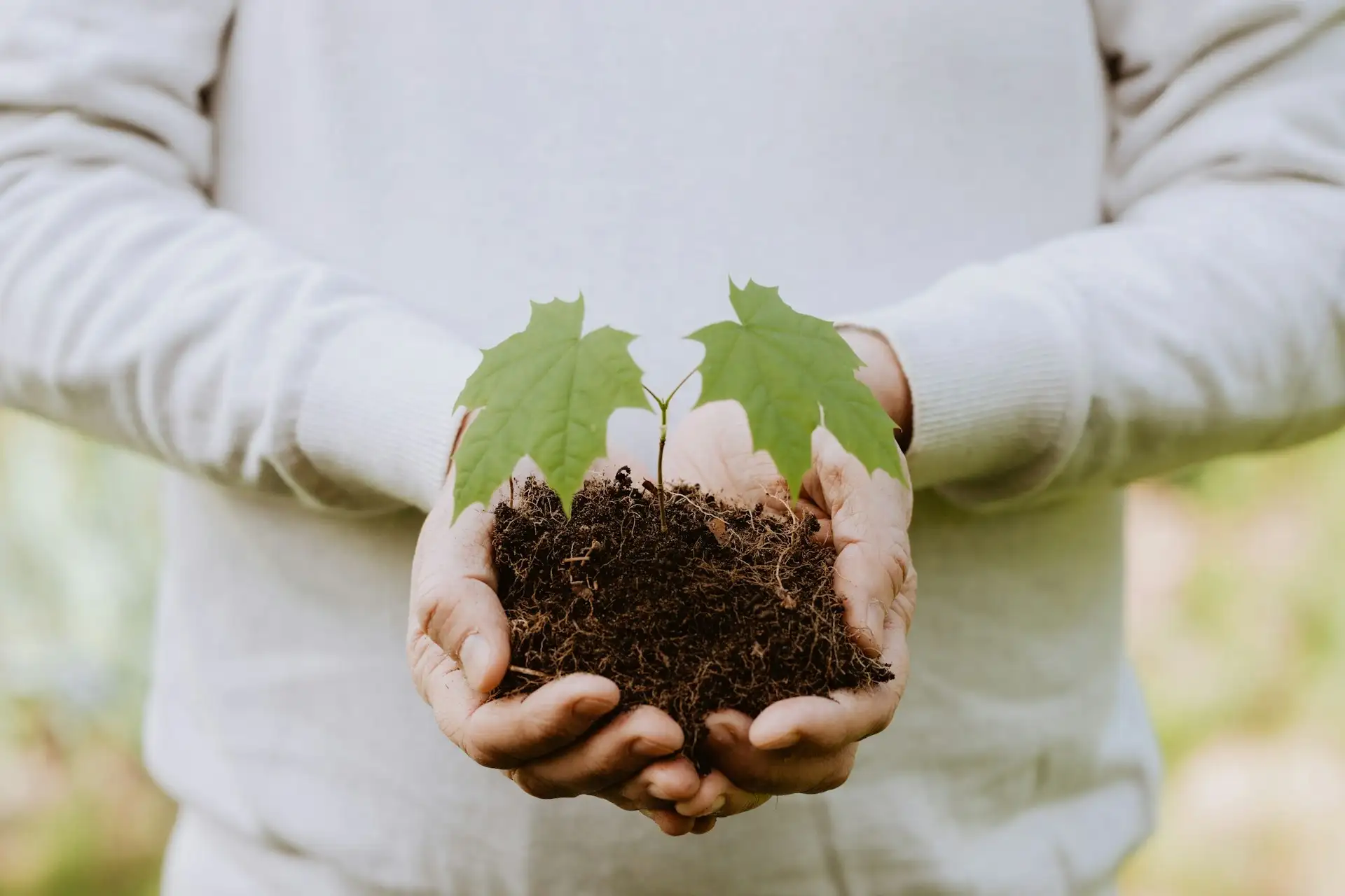 Council of Europe steps up on the environment