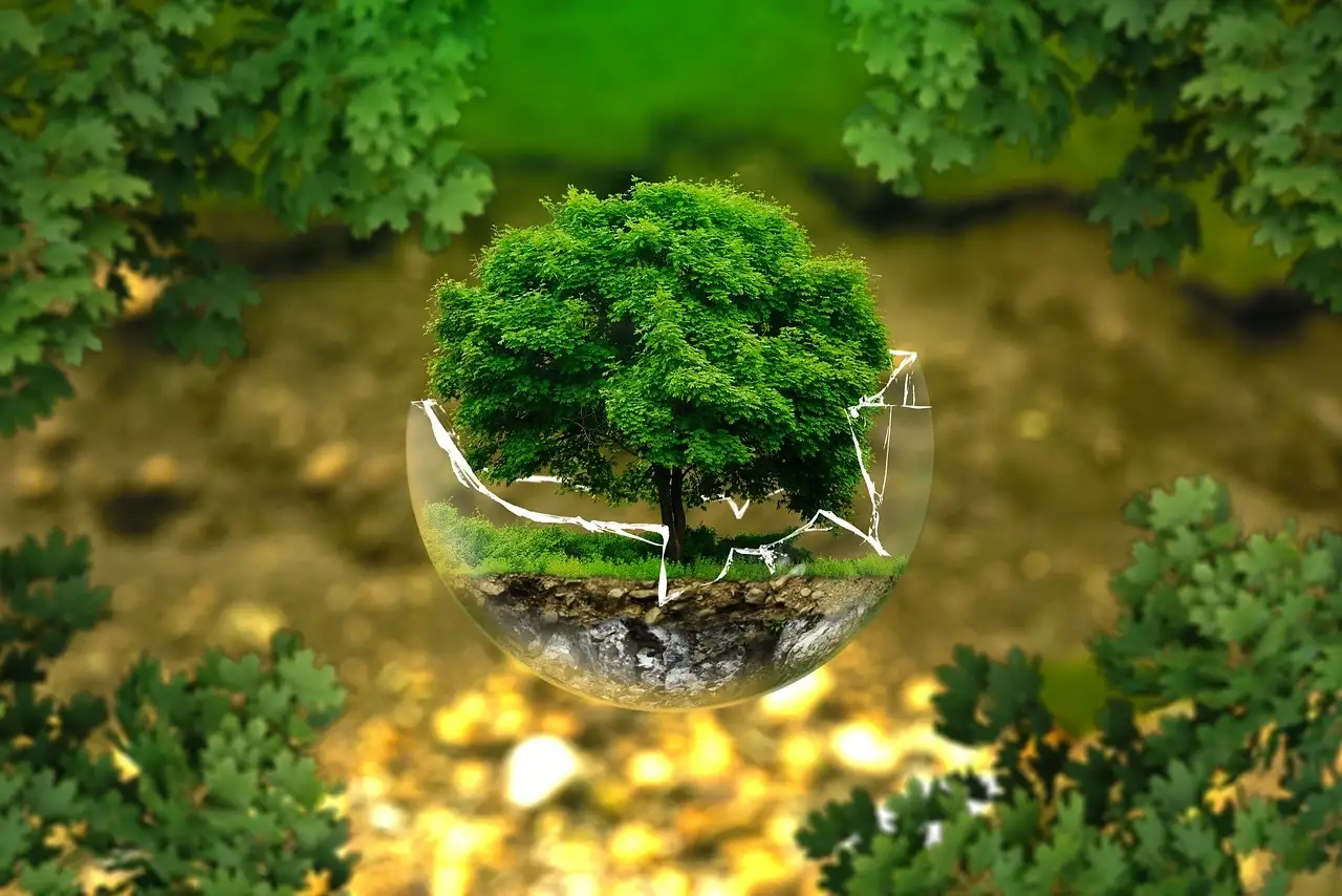 Nations agree plan to finance nature protection