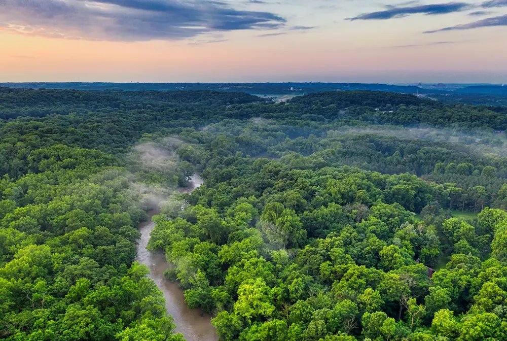 Gabon unveils $180m plan to protect Congo forests