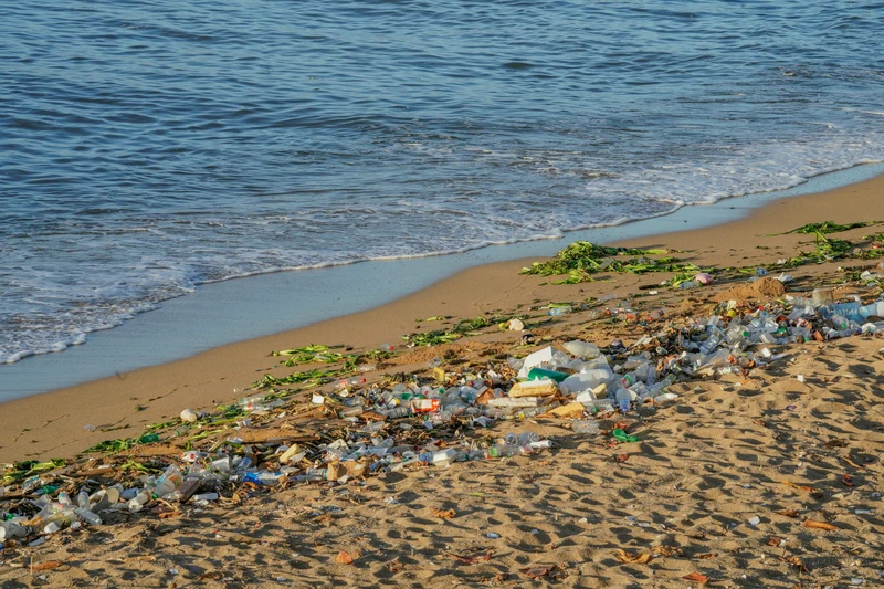 Turning river waste into sustainable boards