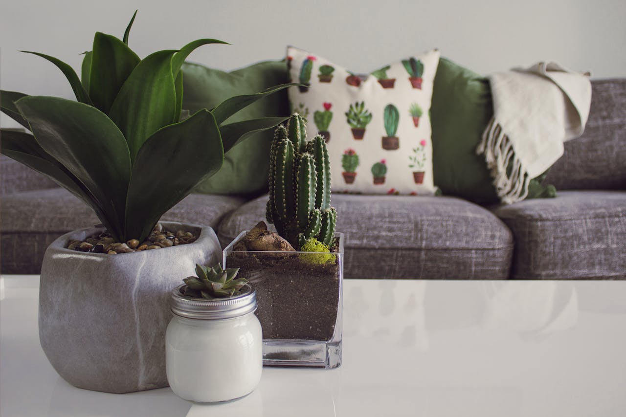The impact of using long-lasting pieces in home décor