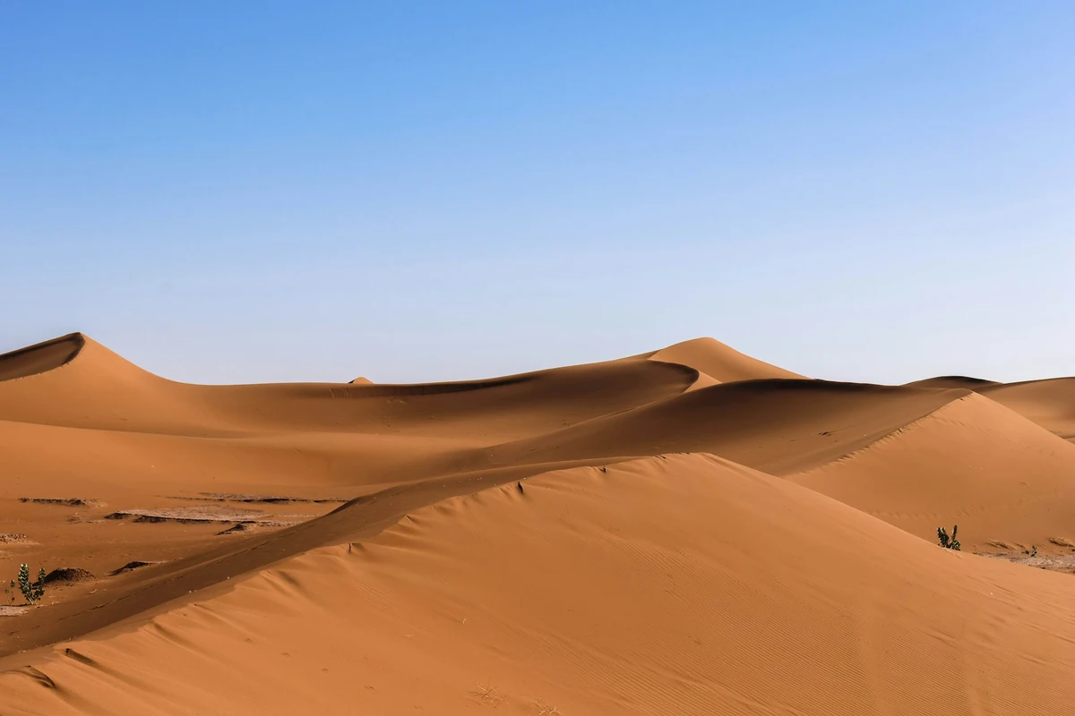 China uses algae to turn deserts fertile