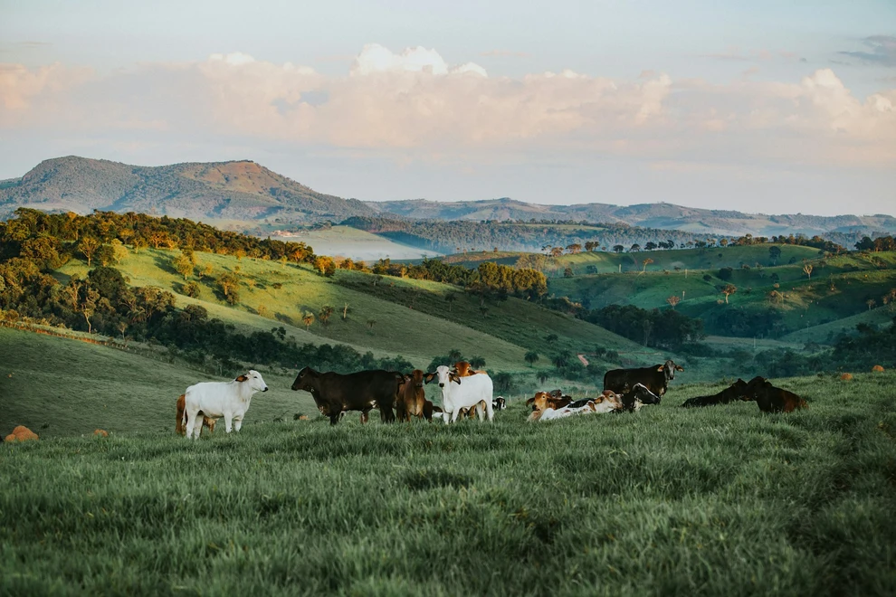 Brazil launches world’s environmental platform