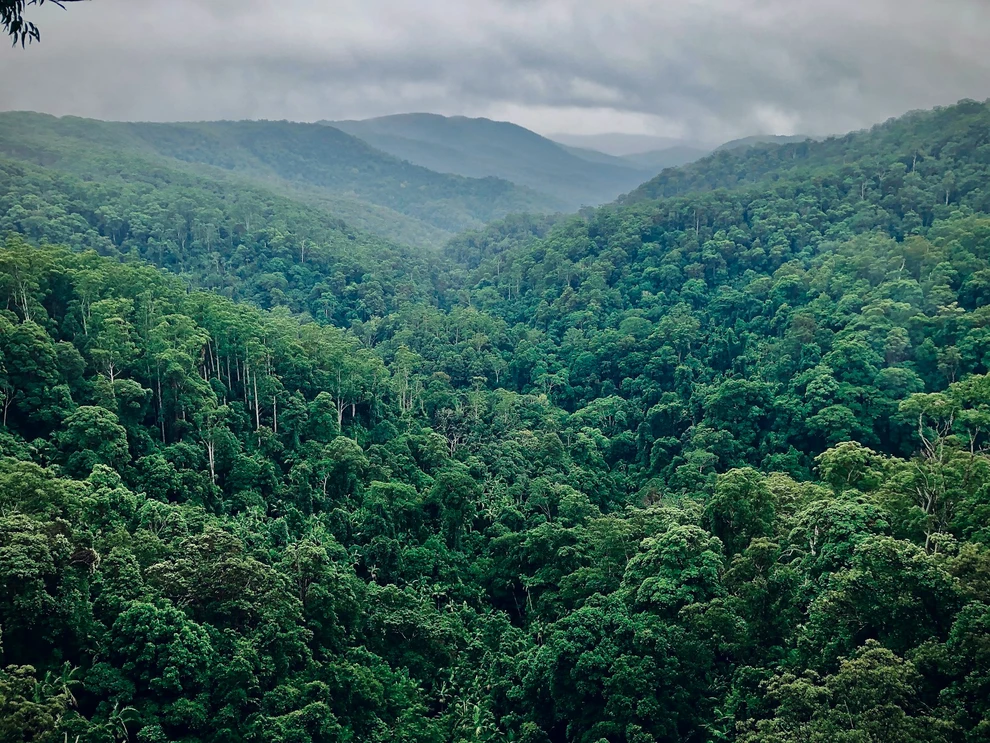 Peruvian Amazon gains $74.5M climate boost