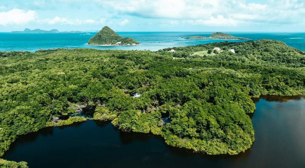 Philippines boosts coastal carbon projects