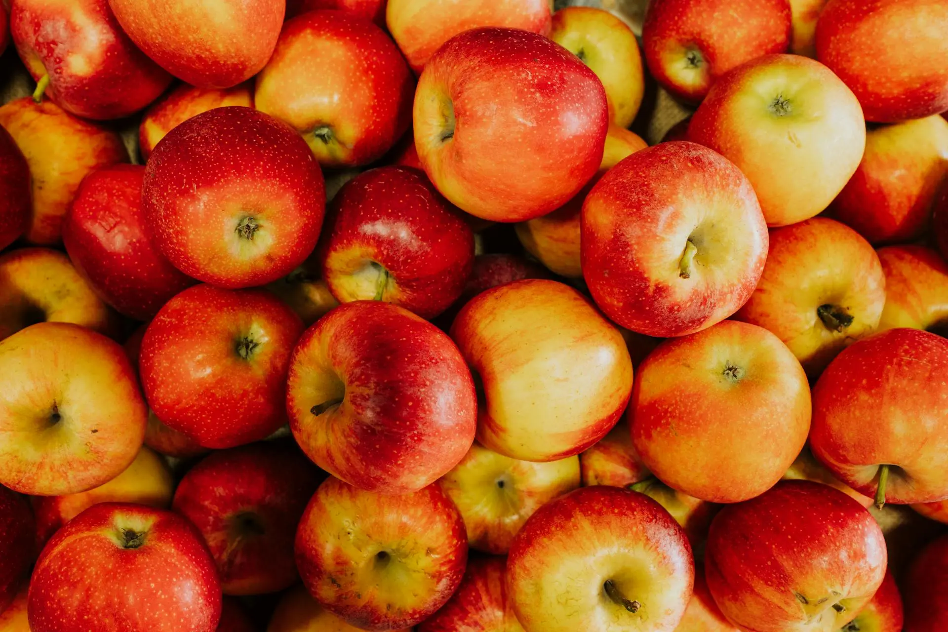 Biodegradable wash removes pesticides fast