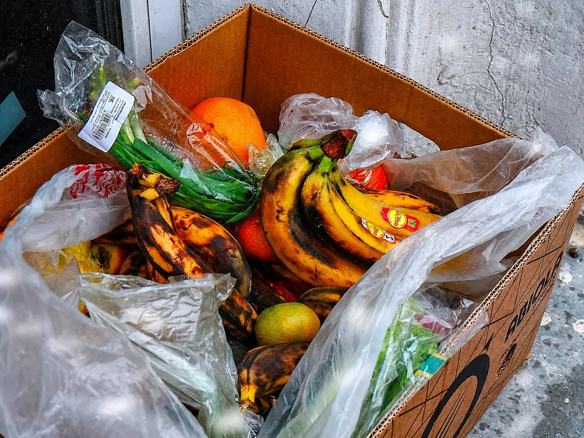 Food waste to energy plant opens in Longview