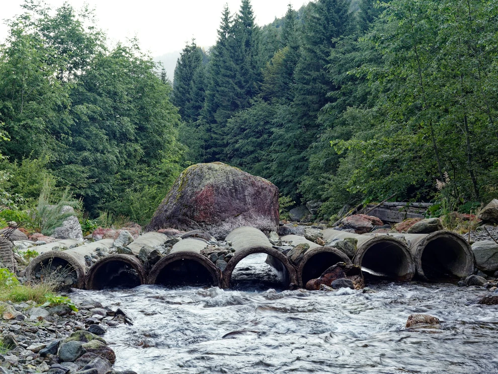 Record dam removals restore EU rivers