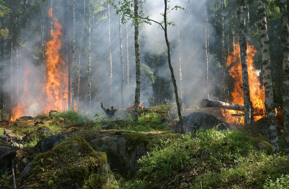 Southern Europe faces wildfire crisis 