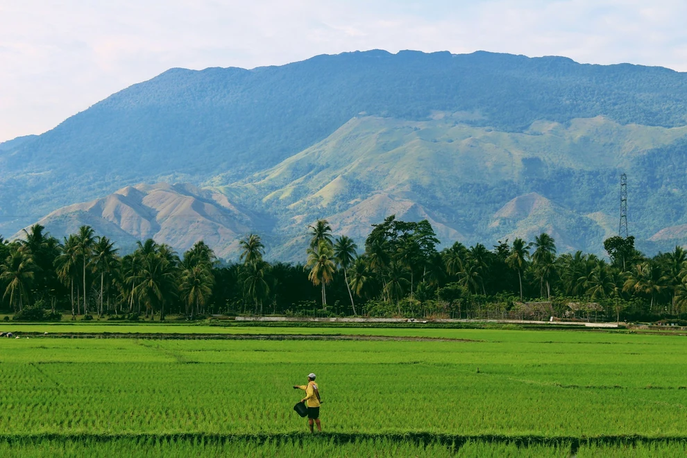 Major carbon deal for Indonesia forests